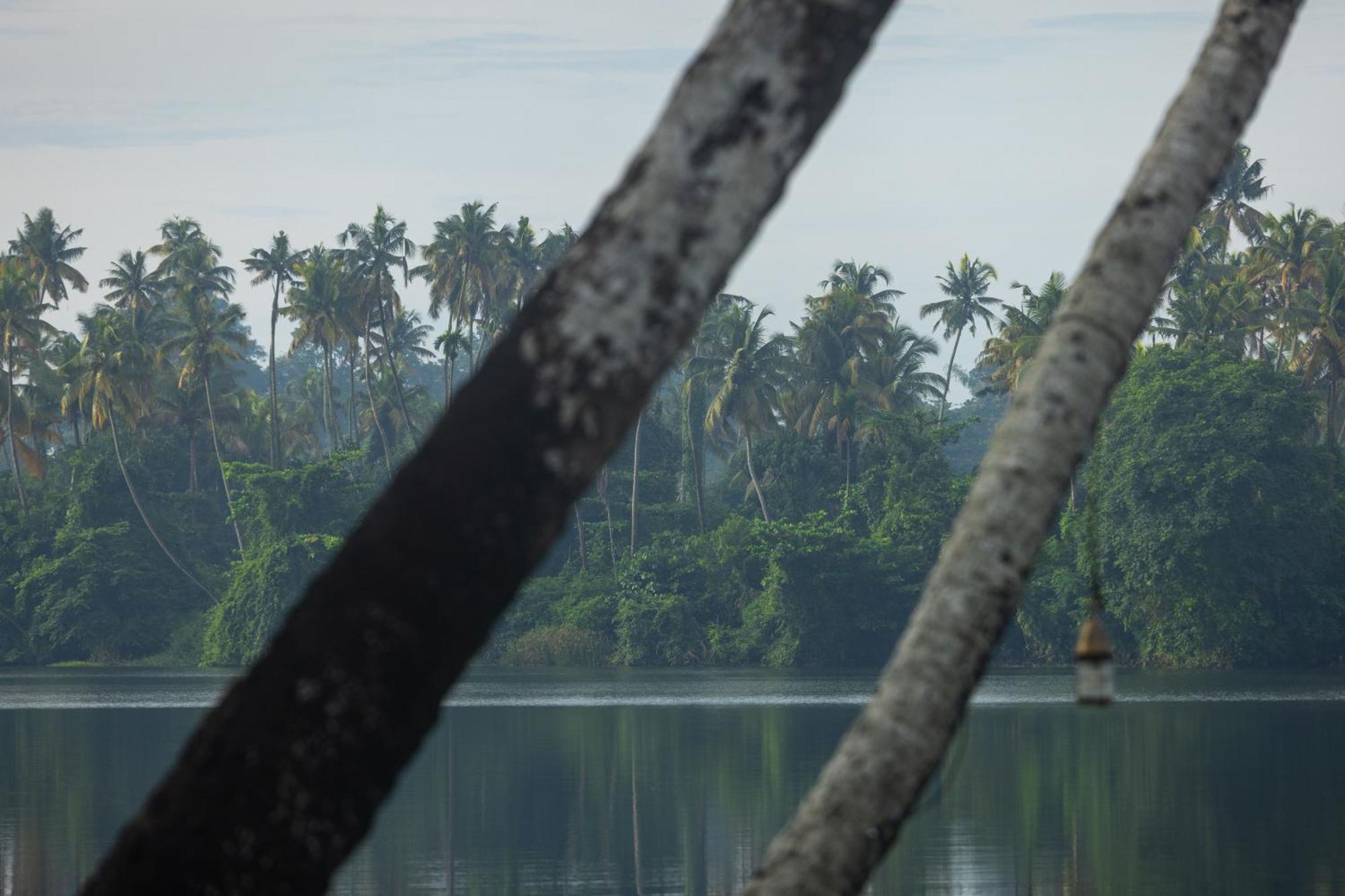 Cranganor History Cafe & Riverside Chateau North Paravur Eksteriør billede
