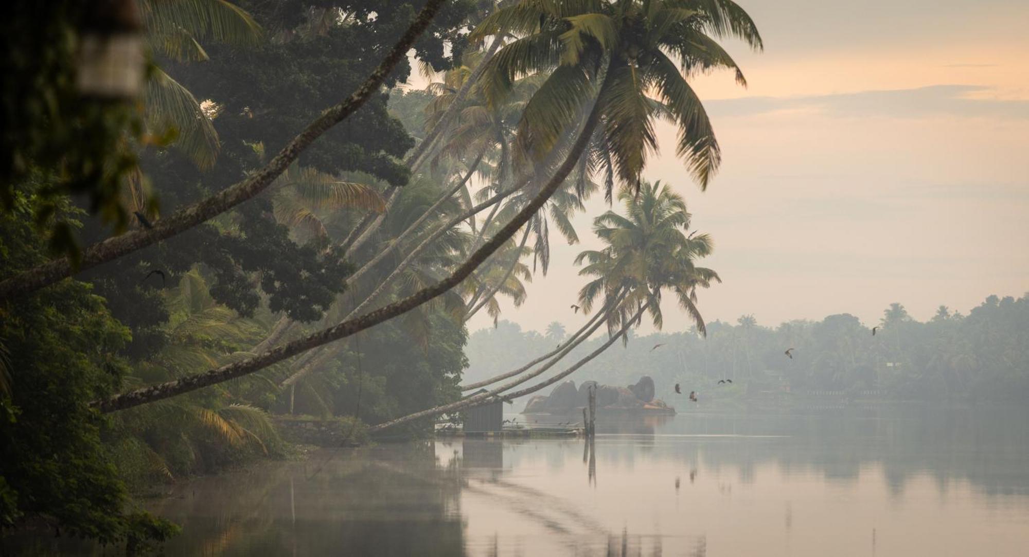 Cranganor History Cafe & Riverside Chateau North Paravur Eksteriør billede